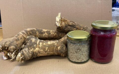 Buy Horseradish | English Horseradish Root | Freshly Grated Horseradish and Beetroot | Freshly Grated Horseradish No Additives