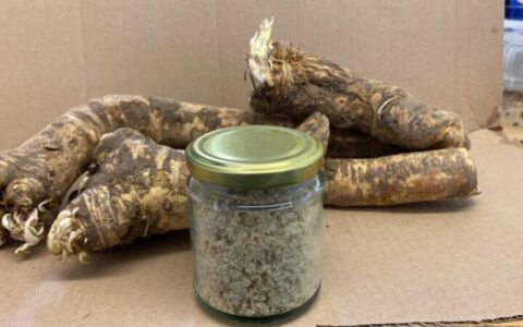 Buy Horseradish | English Horseradish Root | Freshly Grated Horseradish and Beetroot | Freshly Grated Horseradish No Additives